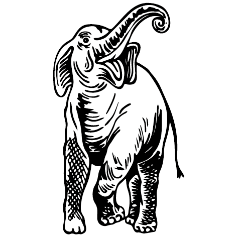 Sticker éléphant - client 28913